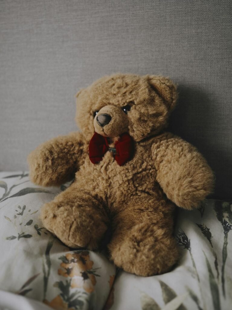 spy teddy bear